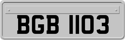 BGB1103