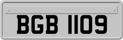 BGB1109