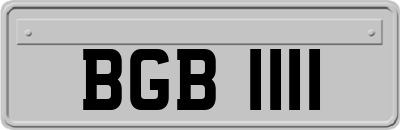 BGB1111