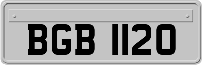 BGB1120