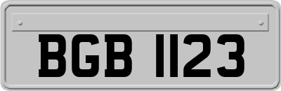 BGB1123