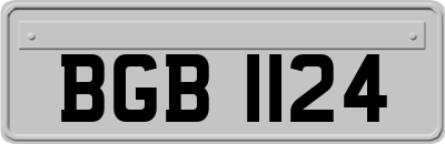 BGB1124