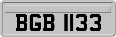 BGB1133