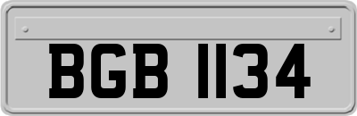 BGB1134