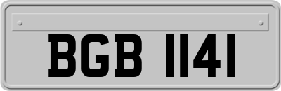 BGB1141