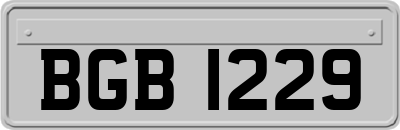 BGB1229