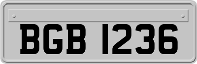BGB1236