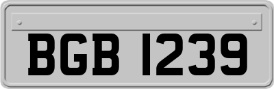 BGB1239