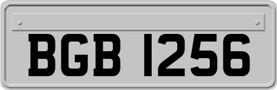 BGB1256