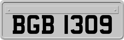 BGB1309