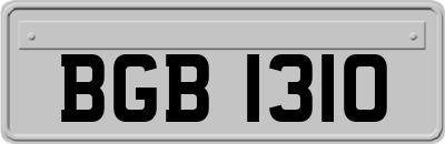 BGB1310