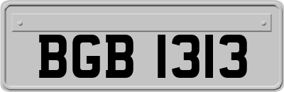 BGB1313