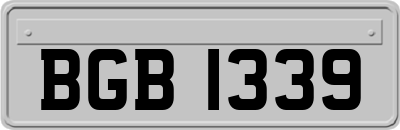 BGB1339