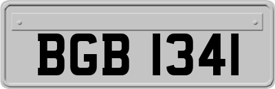 BGB1341