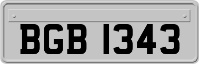 BGB1343