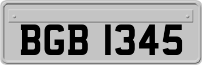 BGB1345