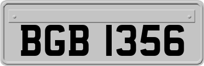 BGB1356