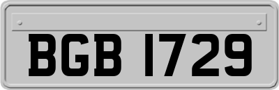 BGB1729