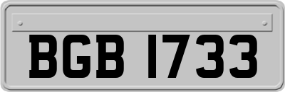 BGB1733