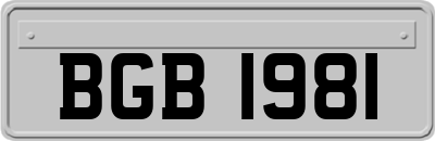 BGB1981