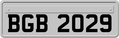 BGB2029
