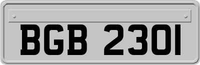 BGB2301