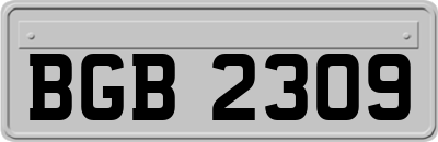 BGB2309