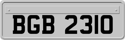BGB2310