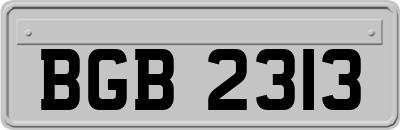 BGB2313