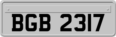 BGB2317