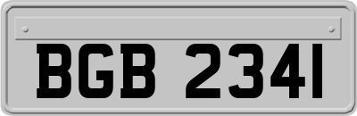 BGB2341