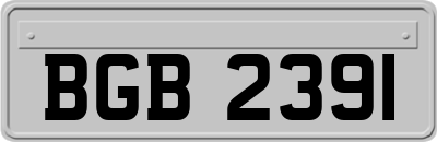 BGB2391