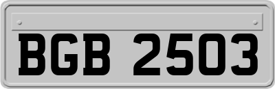 BGB2503