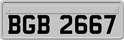 BGB2667