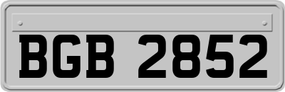 BGB2852