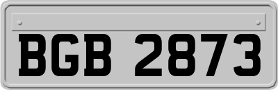 BGB2873