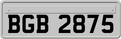 BGB2875