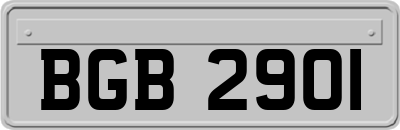 BGB2901