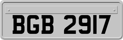 BGB2917