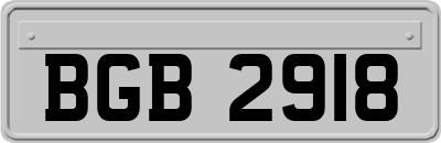 BGB2918