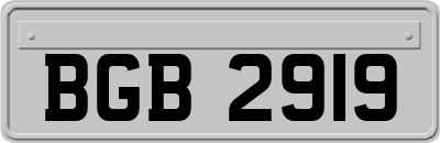 BGB2919