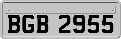 BGB2955