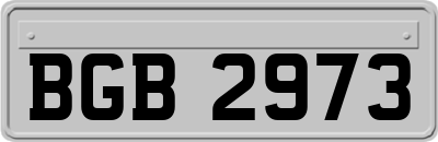 BGB2973