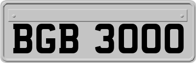 BGB3000