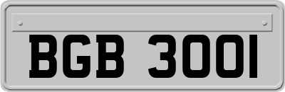 BGB3001