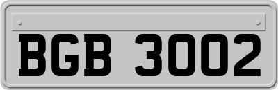 BGB3002