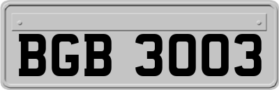 BGB3003