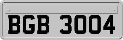 BGB3004
