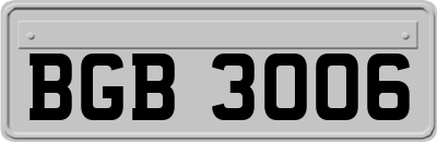 BGB3006