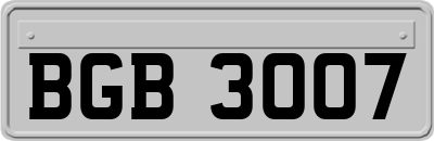 BGB3007